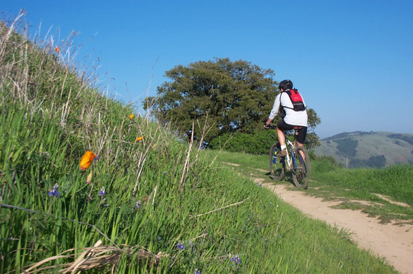 Saratoga Gap/Russian Ridge Mountain Biking